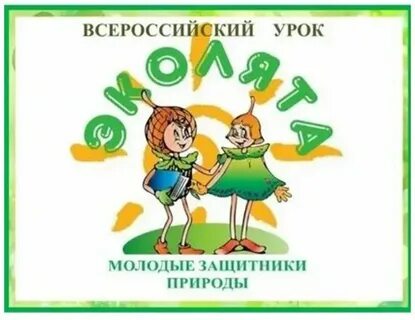 Урок “Эколята – молодые защитники природы”.